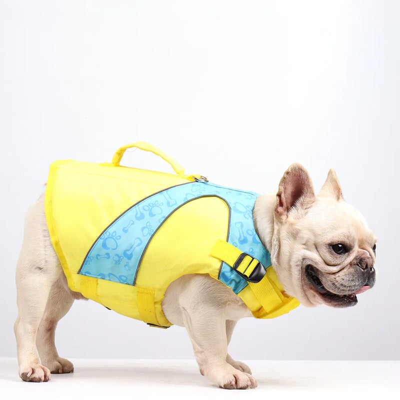 Bright Color Contrast Dog Life Jacket and Swimsuit